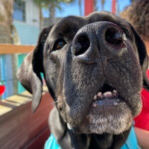 🌺IM LIVE!! COME HANG OUT🌺